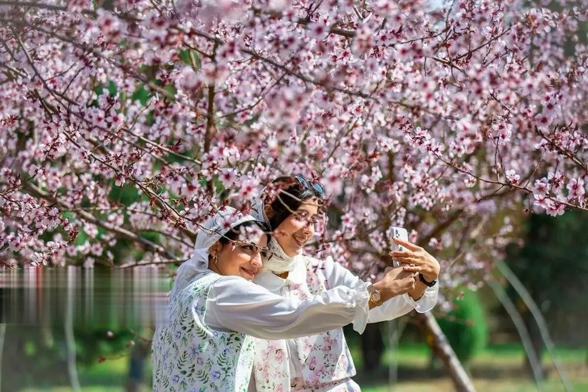 تصاویر بهاری از تهران